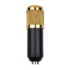 BM800 Professional Microphone Condenser Microphone for Video Radio Studio Computer Recording with Shock Mount + FREE USB Sound Card
