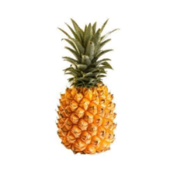 test made - Quickee image52